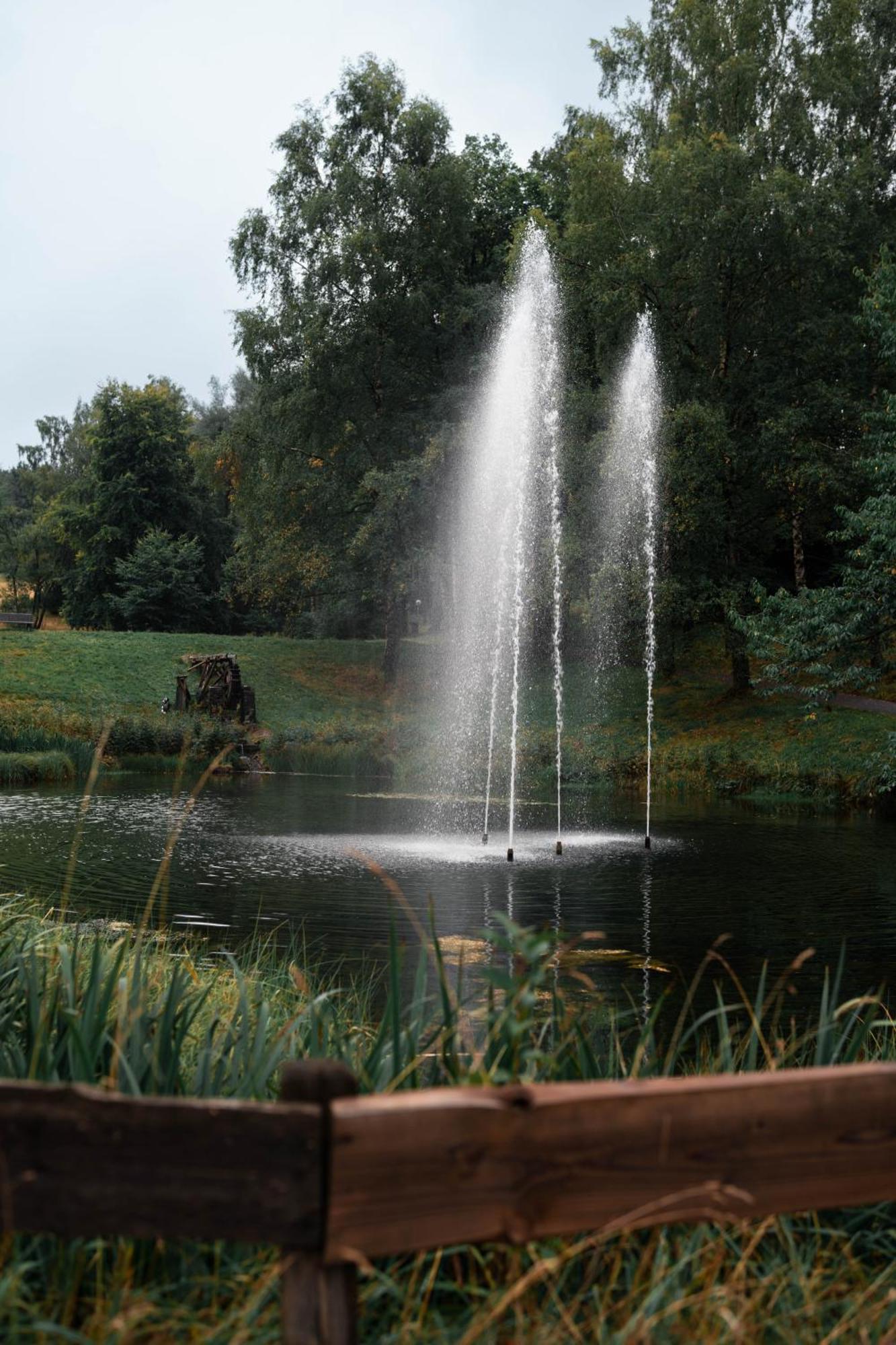 Terrassenhaus Waldblick 637 Apartment Hohegeiß Екстериор снимка