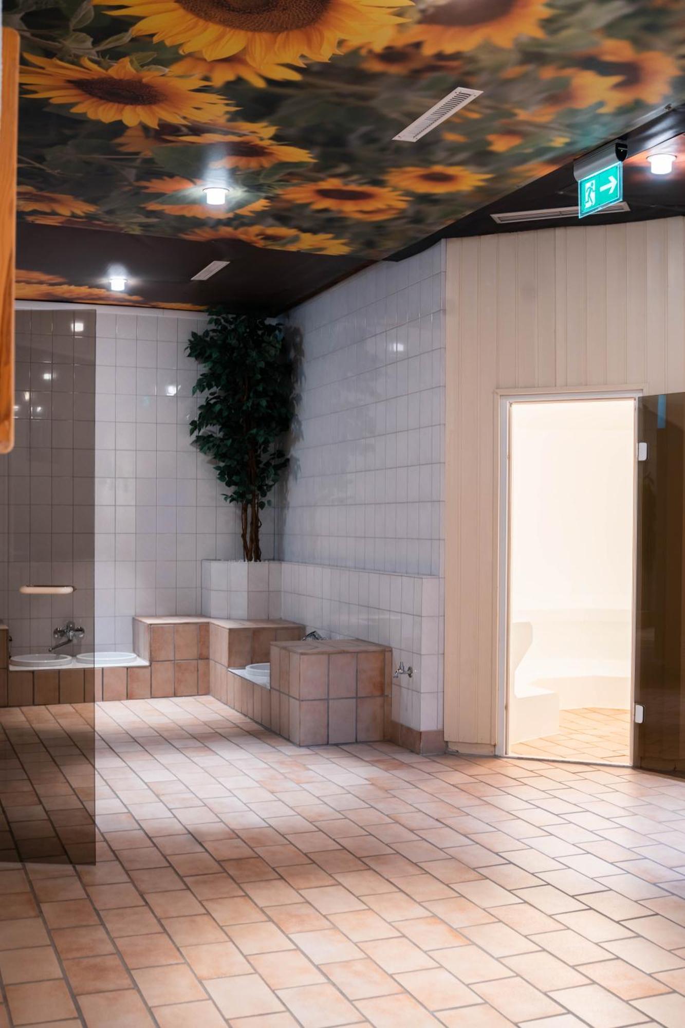 Terrassenhaus Waldblick 637 Apartment Hohegeiß Екстериор снимка