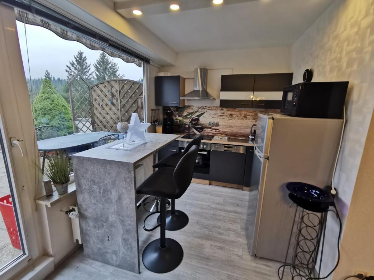 Terrassenhaus Waldblick 637 Apartment Hohegeiß Екстериор снимка